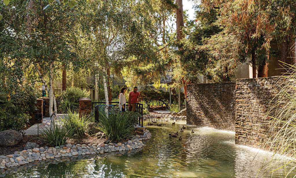 Spruce Apartments Sunnyvale Fasiliteter bilde